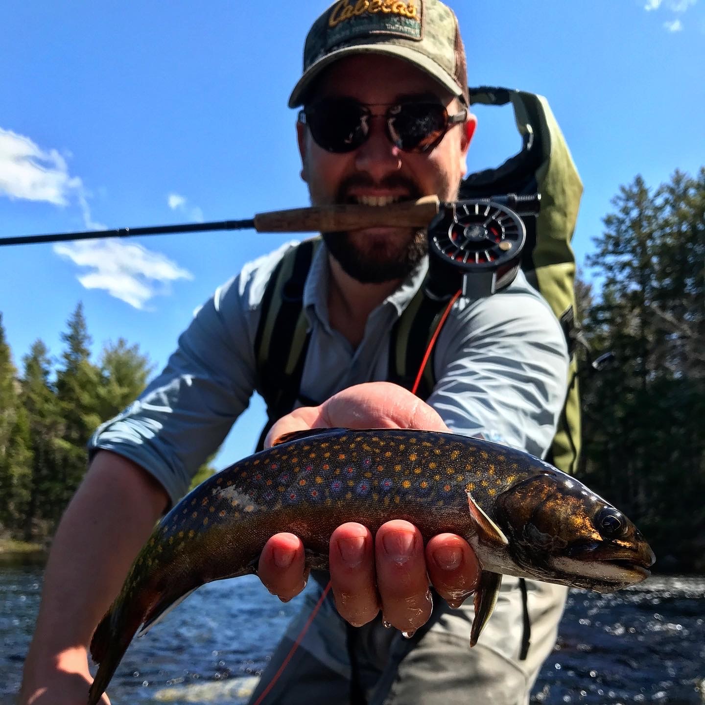 Backcountry TROUT Fishing Gear Loadout