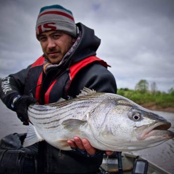 Image of Matt Szeto with a large fish on a boat