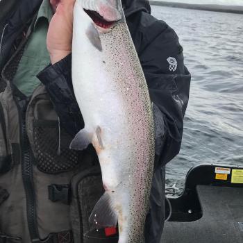 Jed holding Rainbow Trout while on the water